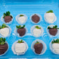 Chocolate Covered Strawberries (12 Count)