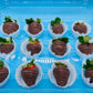Chocolate Covered Strawberries (12 Count)